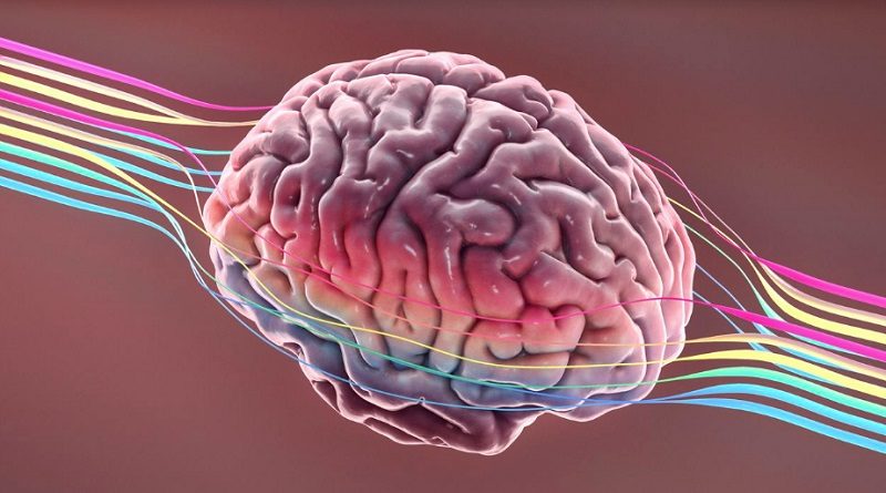 El superalimento que se puede comer al desayuno para estimular el cerebro