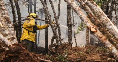 Incendio forestal deja 8 mil hectáreas afectadas en Argentina
