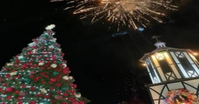 Encienden la Navidad en La Colonia Tovar