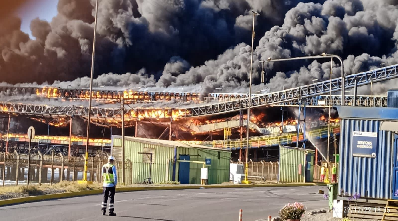 Gran incendio en Chile deja un fallecido y 500 viviendas afectadas
