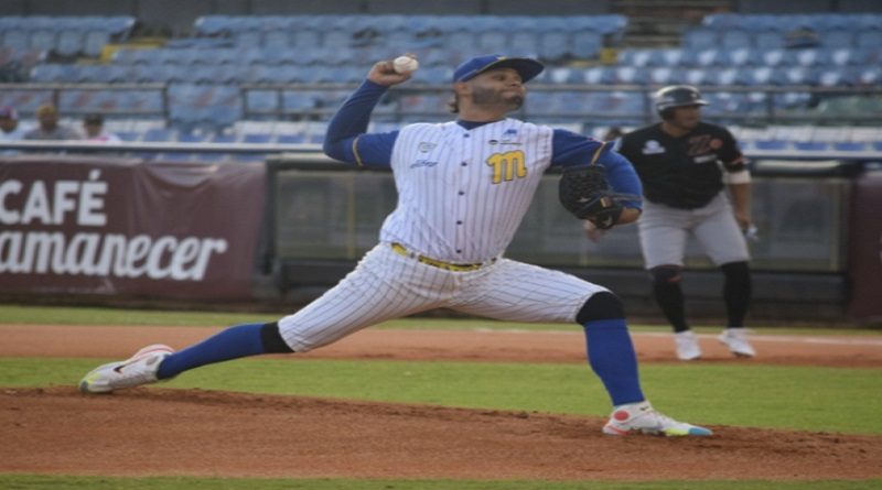 Magallanes celebra clasificación en la LVBP