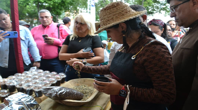 Producción de café de especialidad impulsa el crecimiento económico en Aragua