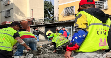 Reparan ocho cuerpos de rejas en avenida Victoria de la parroquia San Pedro