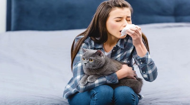 Vacuna rusa contra alergia a los gatos lista para ensayos clínicos