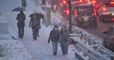 Fuertes nevadas en Japón dejan al menos 14 fallecidos
