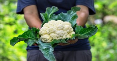 Beneficios y efectos secundarios al consumir Coliflor