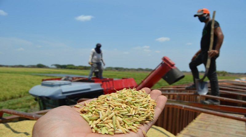Continúa trabajo progresivo para ampliar capacidades productivas del estado Guárico