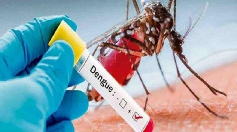 Estudian elevada mortalidad a causa del dengue