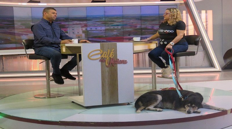 Misión Nevado: «ejecuta la protección y resguardo de las mascotas»