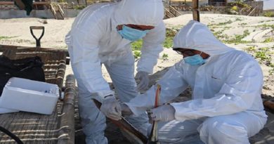 Ecuador y Perú declaran emergencia zoosanitaria por brote de influenza aviar