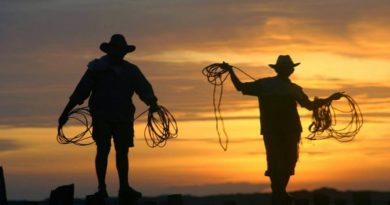 Solicitan a Comisión de Cultura den la AN promover Turismo de la Llaneridad en Apure