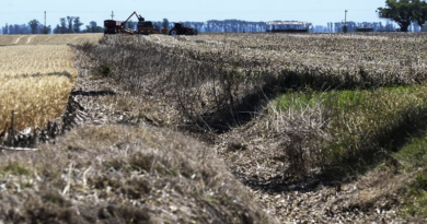 Extienden emergencia agropecuaria por 90 días en Uruguay
