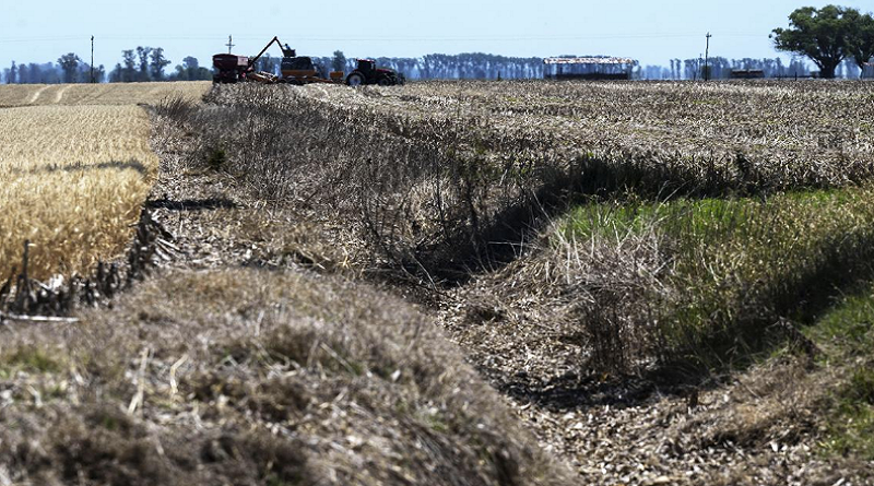 Extienden emergencia agropecuaria por 90 días en Uruguay