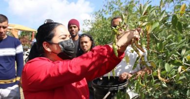 Agricultores de Coche mantienen experiencia productiva en km 7 de la Panamericana