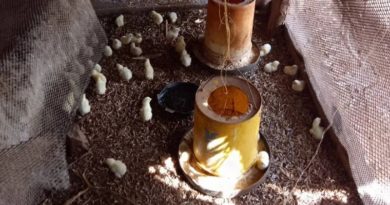 Agricultores de Fundo Zamorano de Cojedes recibieron orientación en cría de animales 2