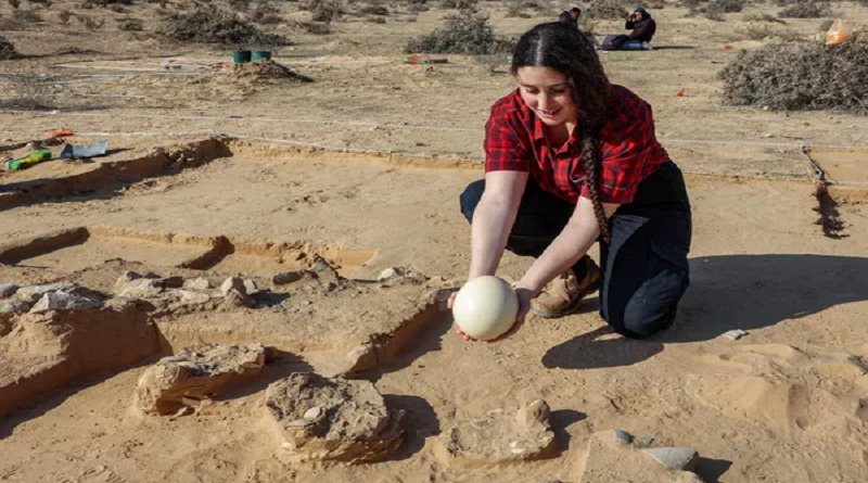 Encuentran restos de un 'omelete' de huevos de avestruz de hace más de 4.000 años