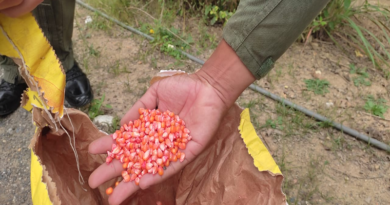 Impulsan espacios productivos en Fuerte Tiuna