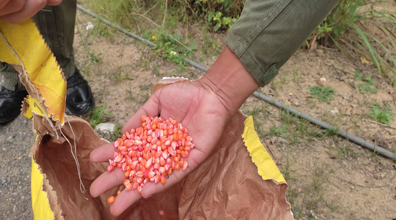 Impulsan espacios productivos en Fuerte Tiuna
