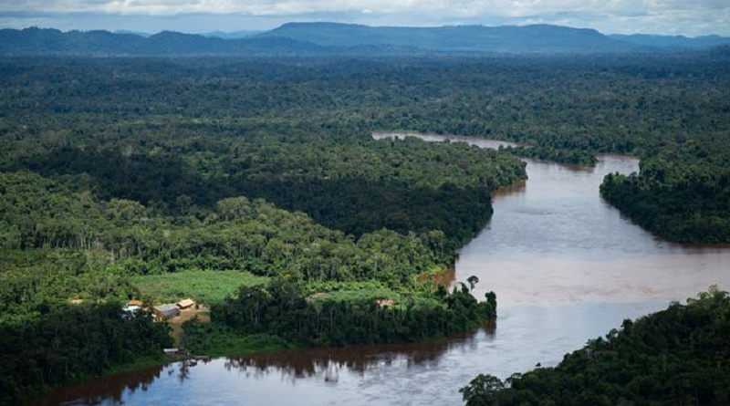 Científicos alertan de punto irreversible de devastación de la Amazonía