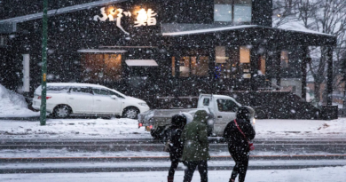 Cerca de 10 mil hogares en Japón se quedan sin agua por ola de frío
