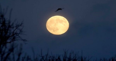 Entérate cómo fue tomada la primera foto de la Luna