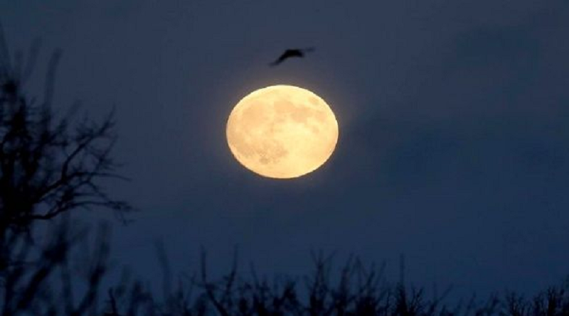 Entérate cómo fue tomada la primera foto de la Luna