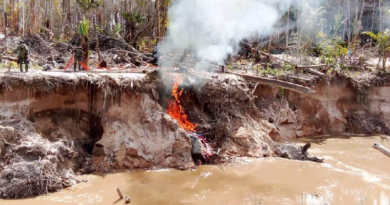 FANB desmantela en Amazonas nueva estructura de minería ilegal