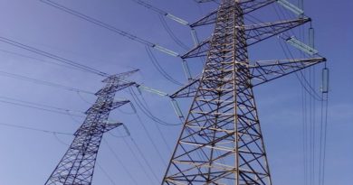 Ejecutan mantenimiento en líneas de transmisión eléctrica en región andina