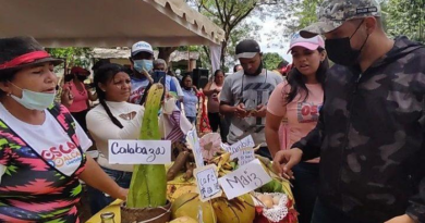 Más de 4 mil productores impulsarán economía agroalimentaria en Carabobo
