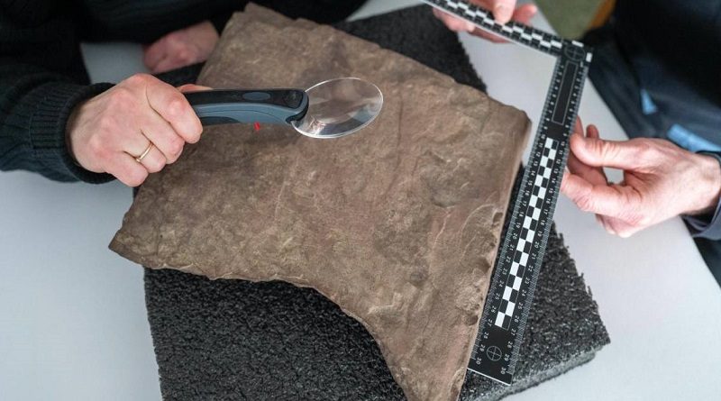 Descubren estela rúnica más antigua del mundo en Noruega