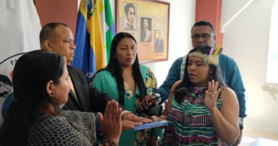 Parlamento Indígena de América impulsa leyes para pueblos originarios durante 2023-2024