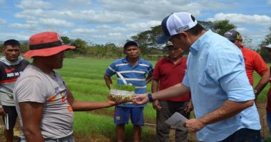 Productores hortícolas de Guárico se organizan para inicio del cultivo de cebolla 3