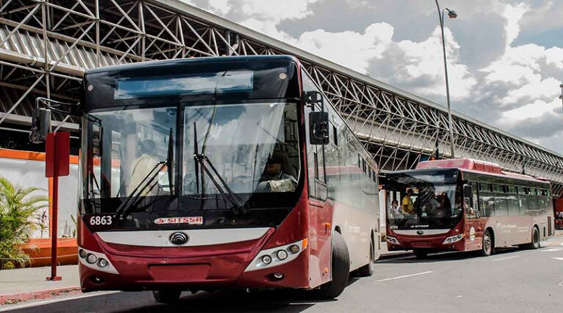 Fanaticada de la Serie del Caribe contará con más de 200 unidades para su traslado