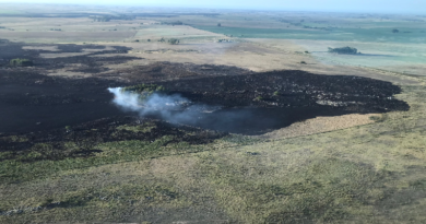Bomberos combaten incendios forestales en Uruguay