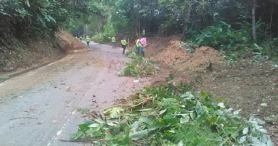 Realizan mantenimiento en carretera Ocumare de la Costa estado Aragua