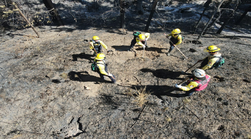 Fuerza de Tarea Humanitaria Simón Bolívar aplaca focos activos de incendios en Chile