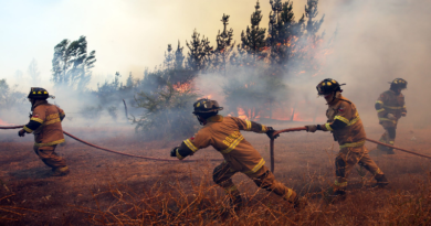 Disminuyen incendios forestales en localidades de Chile