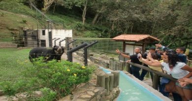 Realizan charlas de sensibilización para la protección del oso frontino en Mérida
