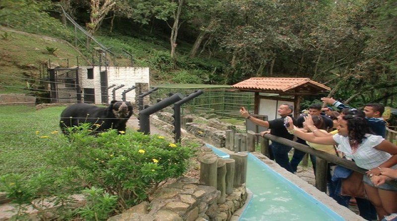 Realizan charlas de sensibilización para la protección del oso frontino en Mérida