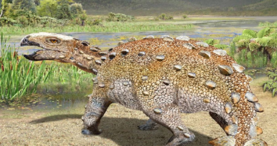 Descubren restos paleontológicos de dinosaurios en Chile