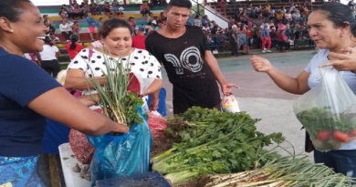 Más de 500 familias en Mérida reciben atención con Feria del Campo Soberano