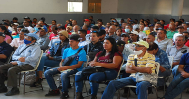 Más de 200 productores agrícolas participan en talleres de formación en Miranda