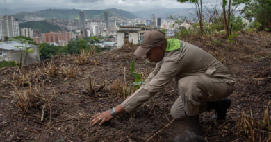 Venezuela celebra Día Nacional del Guardaparques