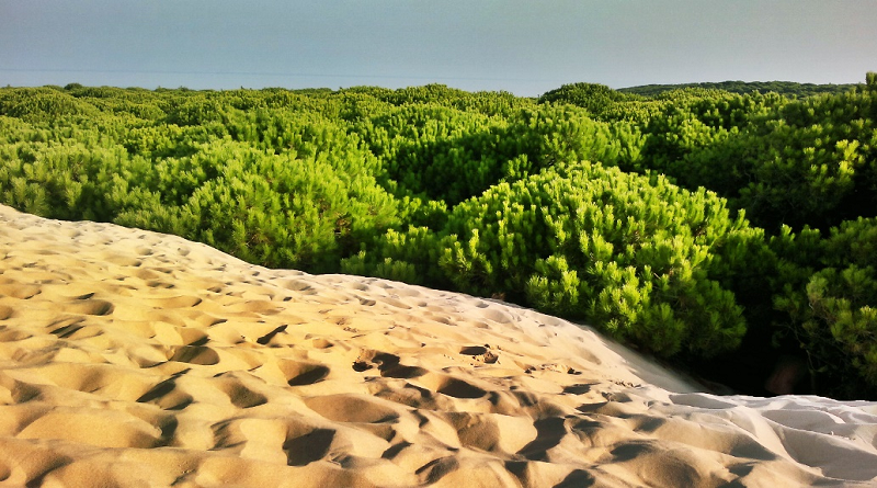 Construyen centro global de datos para apoyar ecosistema en Arabia Saudí