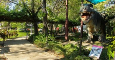 Museo de Ciencia y Tecnología de Mérida es una opción para la recreación
