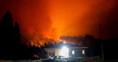 Ordenan evacuar región chilena de Ñuble por incendios