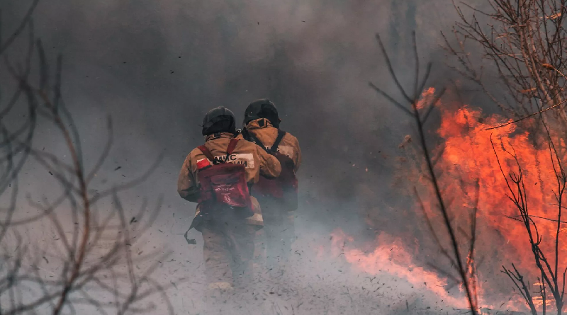 Combaten incendios forestales en Santiago de Chile