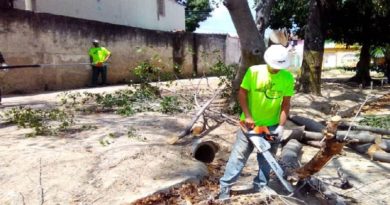 Jornada especial de poda y tala benefició a habitantes de Urbanización La Isabelica en Carabobo