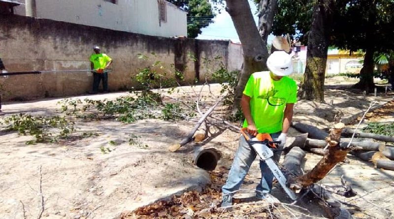 Jornada especial de poda y tala benefició a habitantes de Urbanización La Isabelica en Carabobo