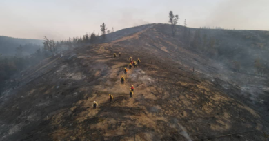 Mantienen emergencia por incendios forestales en Chile